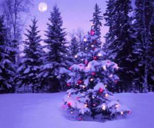 Puzzle Χριστουγεννιάτικα δέντρα σε ένα χιονισμένο τοπ&amp;#94